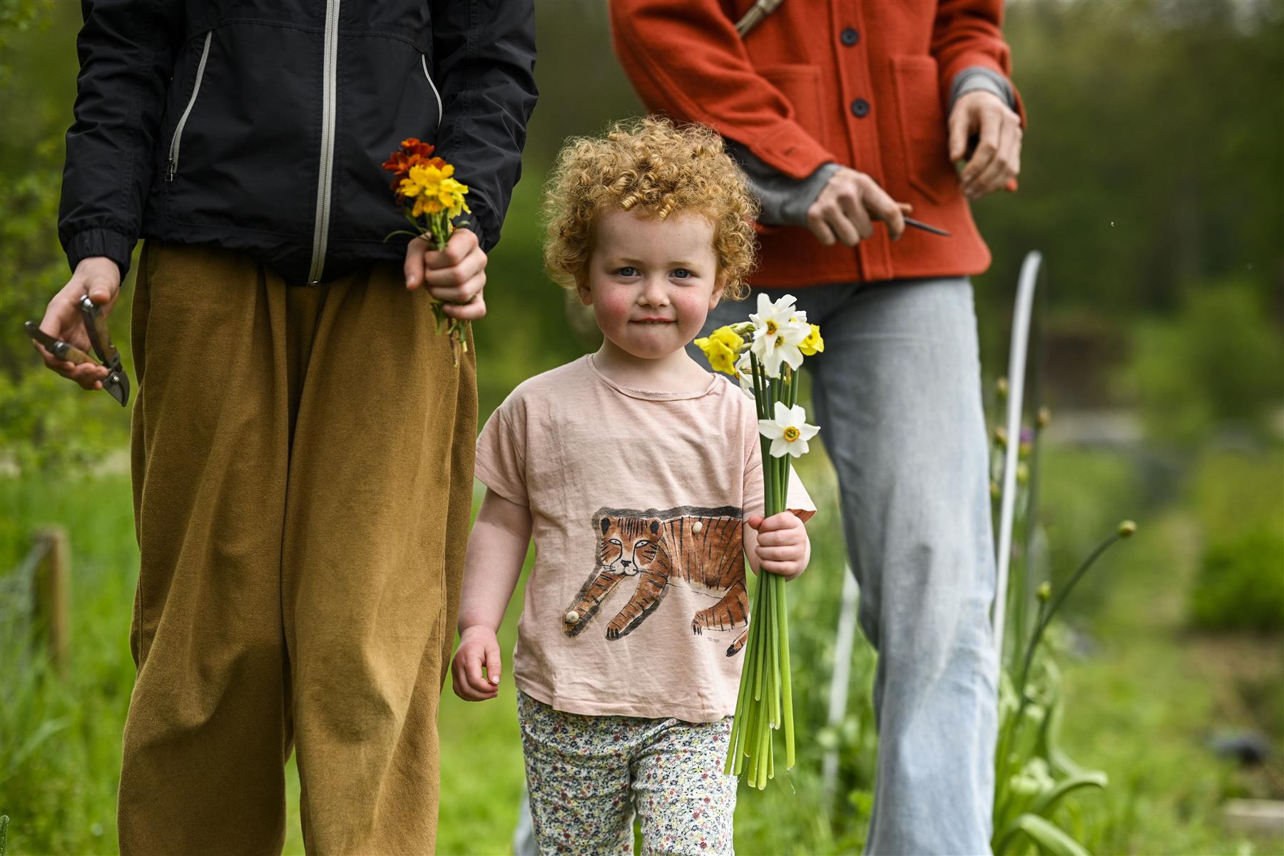 FleurAkker is Groot Eiland's self-picking flower farm